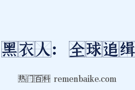 黑衣人：全球追缉是什么意思的图片